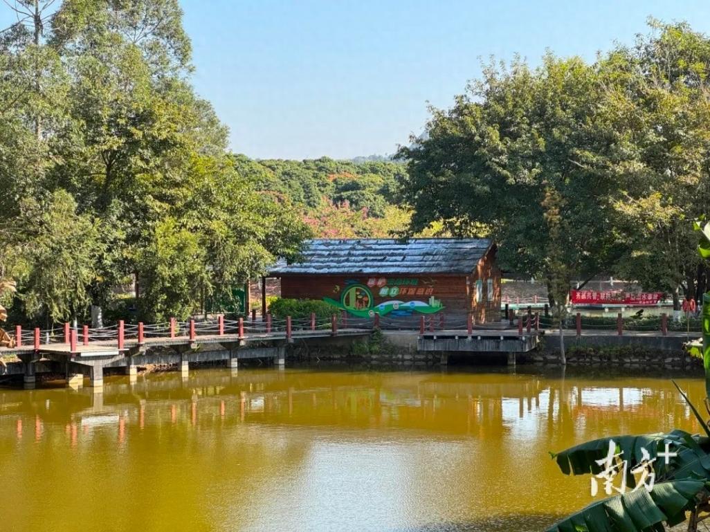 半城都市半城綠,長(zhǎng)安碧道“上新”