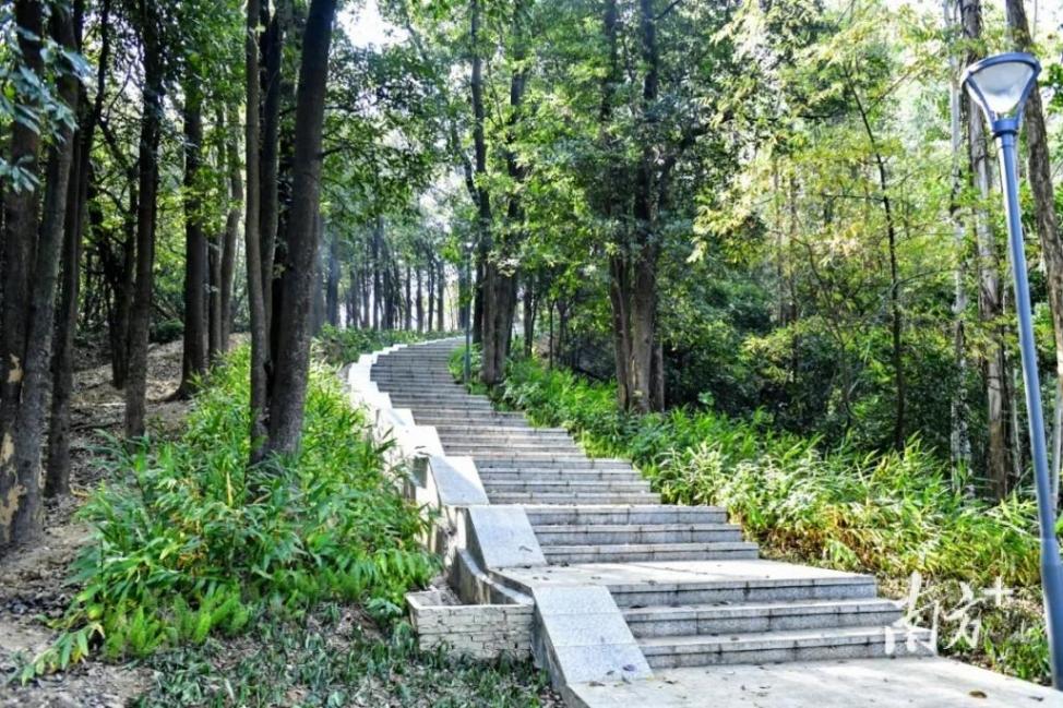 半城都市半城綠,長(zhǎng)安碧道“上新”