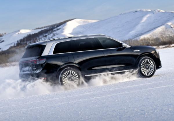 問界理想贏麻了!大尺寸SUV成2025車企新紅海?