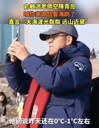 俞敏洪老師喊你來青島看海鷗了!