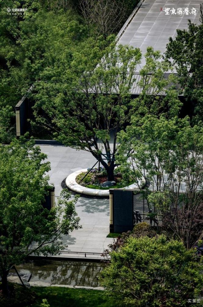 望京國譽(yù)府溫榆河公園初夏慢跑:以奔跑之名,描繪健康理想人居