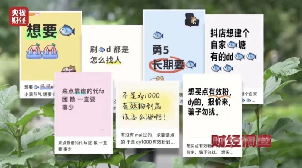 央視曝光零差評背后貓膩