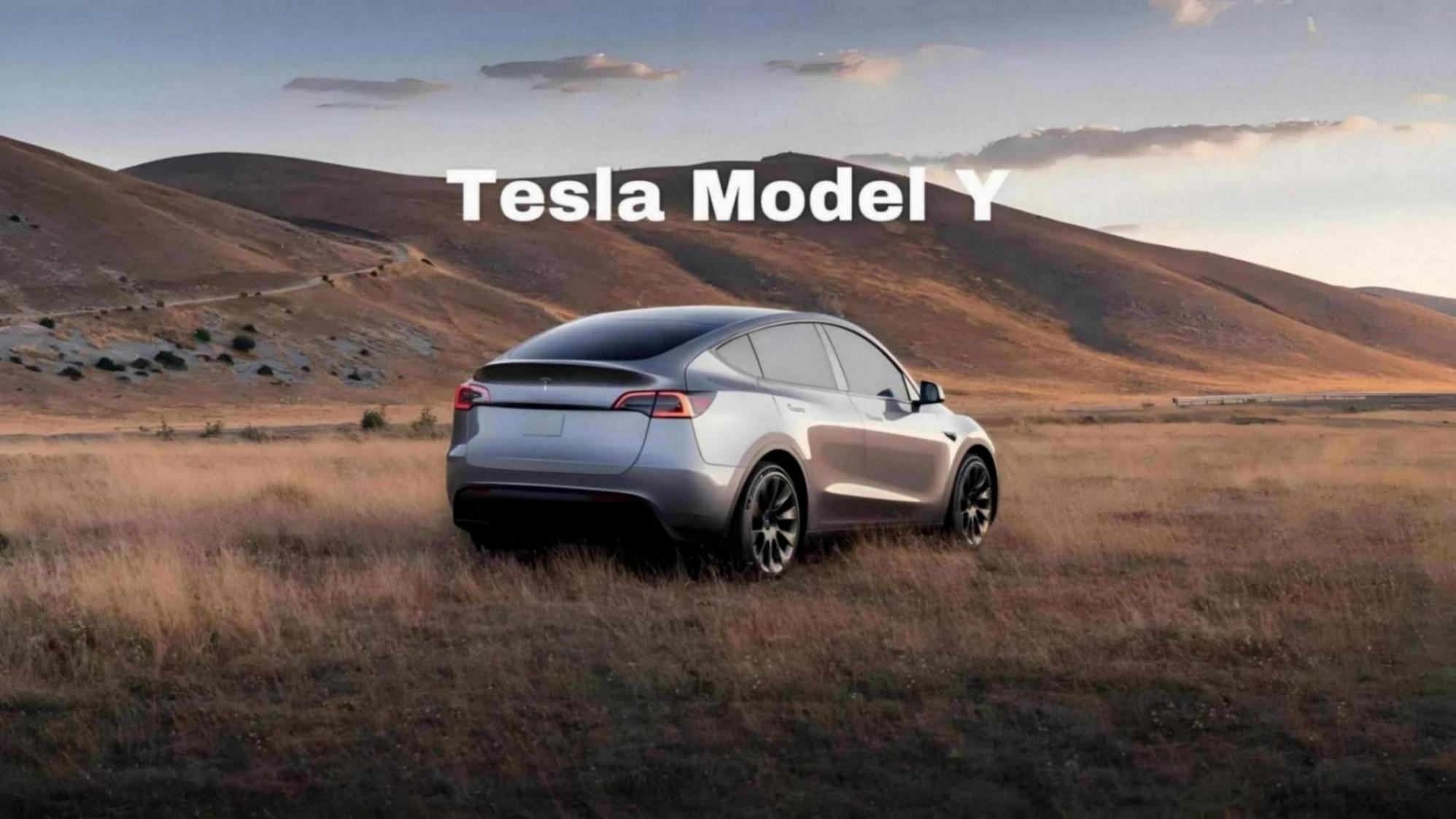 沒拿“三哥”當自己人!Model Y印度上市,價格讓國內車主直呼幸福