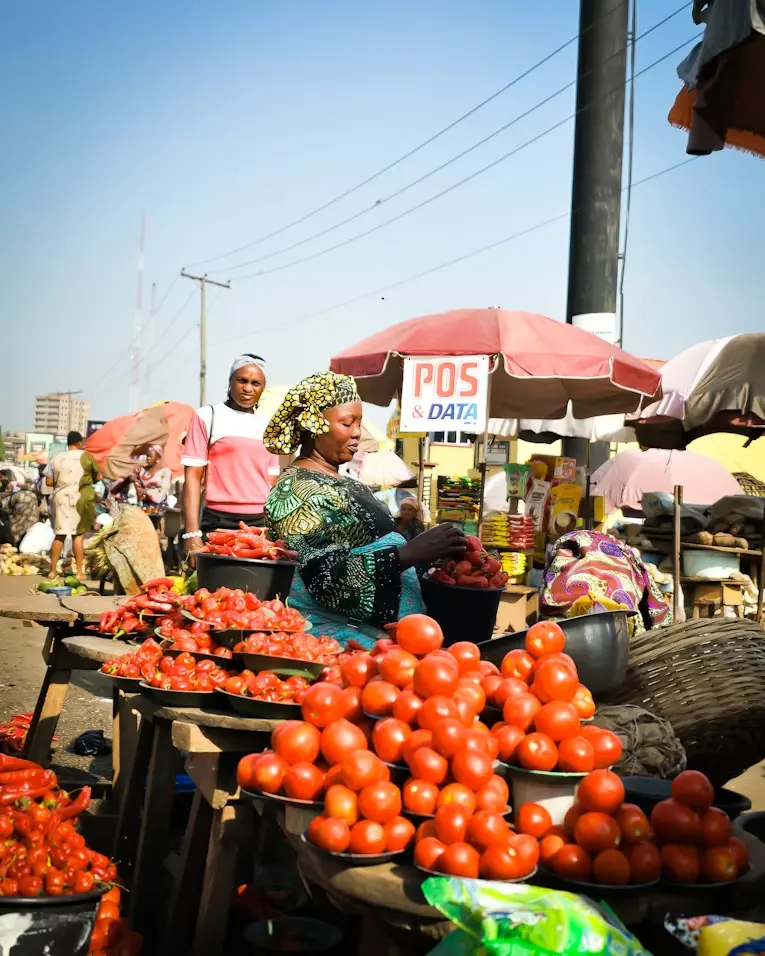 尼日利亞伊巴丹 Bodija 市場的一幅充滿活力的場景