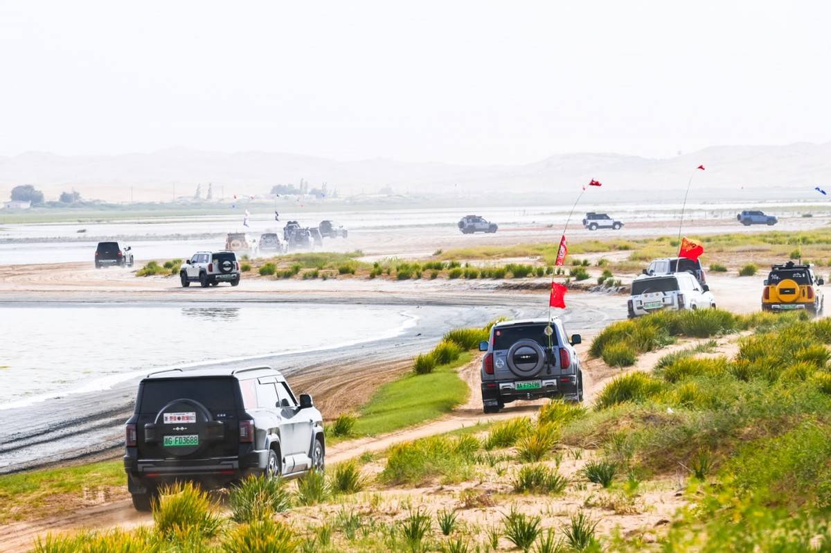 2025方程豹阿拉善越野會豹友齊聚越野玩出生活新花樣